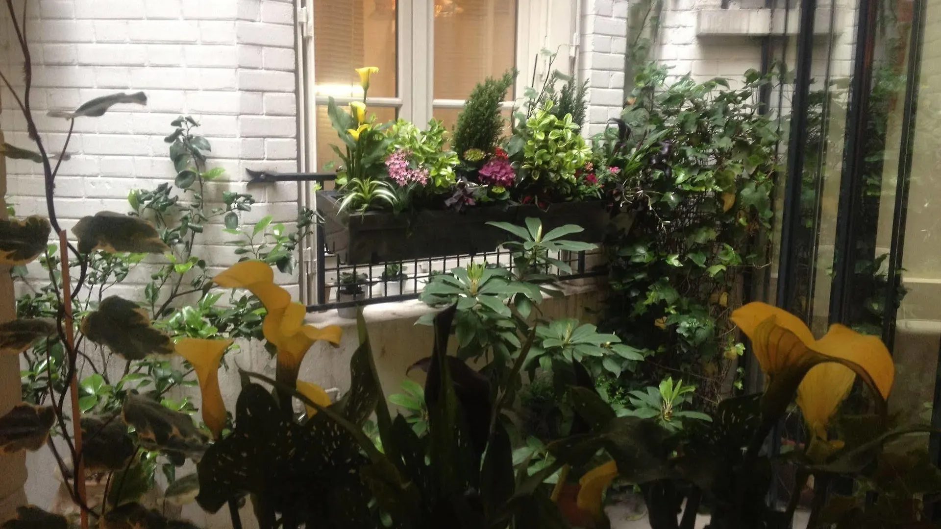 Virgina Hotell Paris